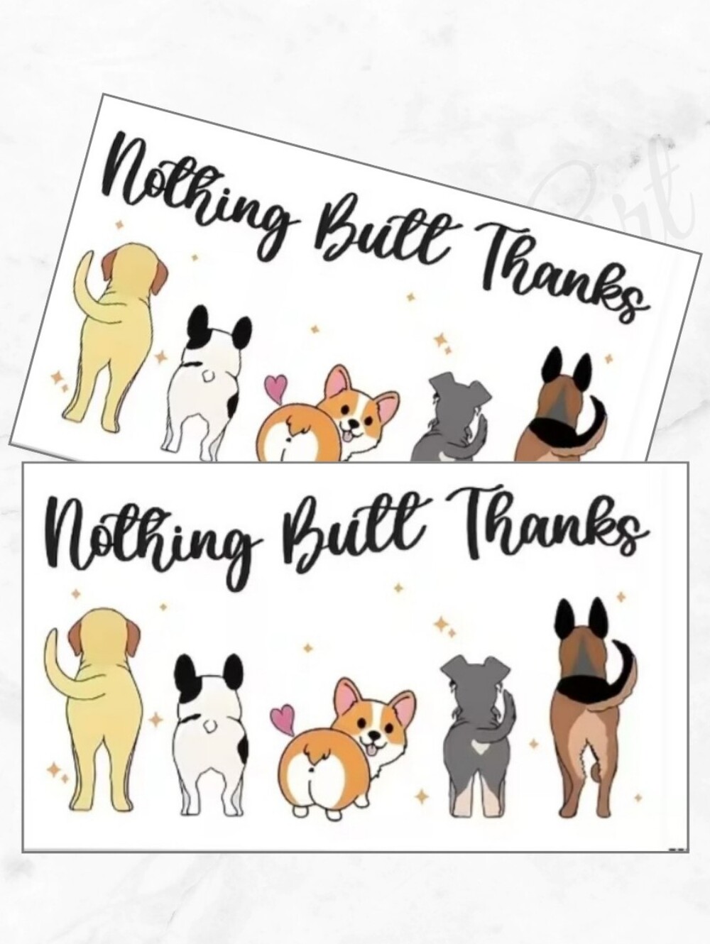 Nothing Butt Thanks Dog Thank You Cards - Set of 60